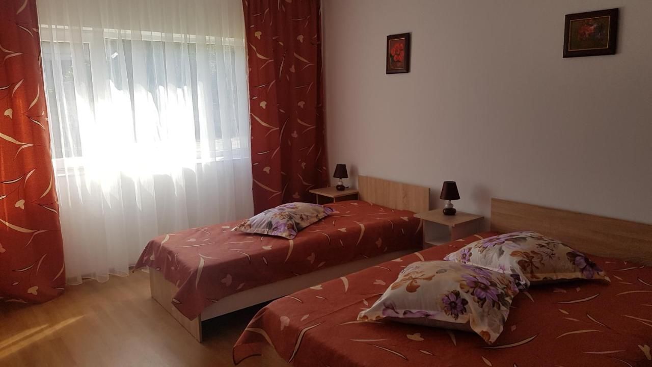 Гостевой дом Casa Rustica Apart & Rooms Cîmpineanca-15