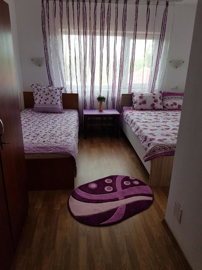 Гостевой дом Casa Rustica Apart & Rooms Cîmpineanca
